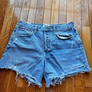 Agolde Parker long shorts swapmeet